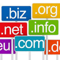 Colorful signs with domain extensions like .biz, .org, .net, .info, .com, and .eu on a white background.