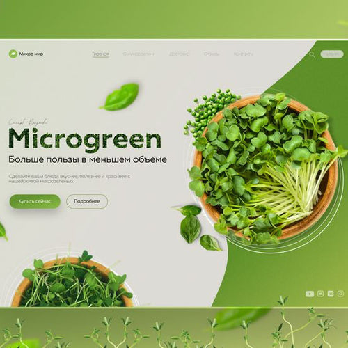 Growth Essentials Package